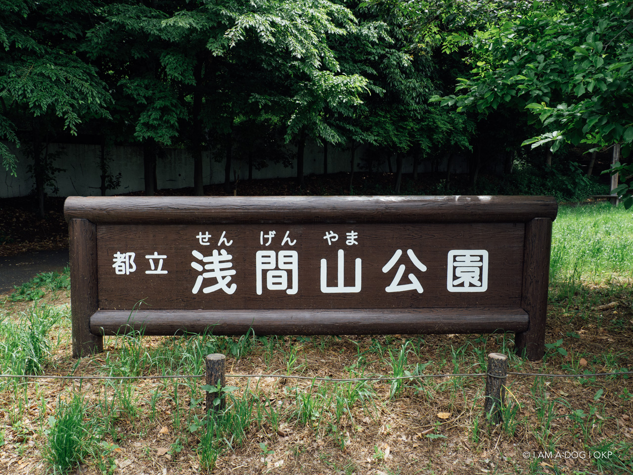 f:id:OKP:20200601164337j:plain