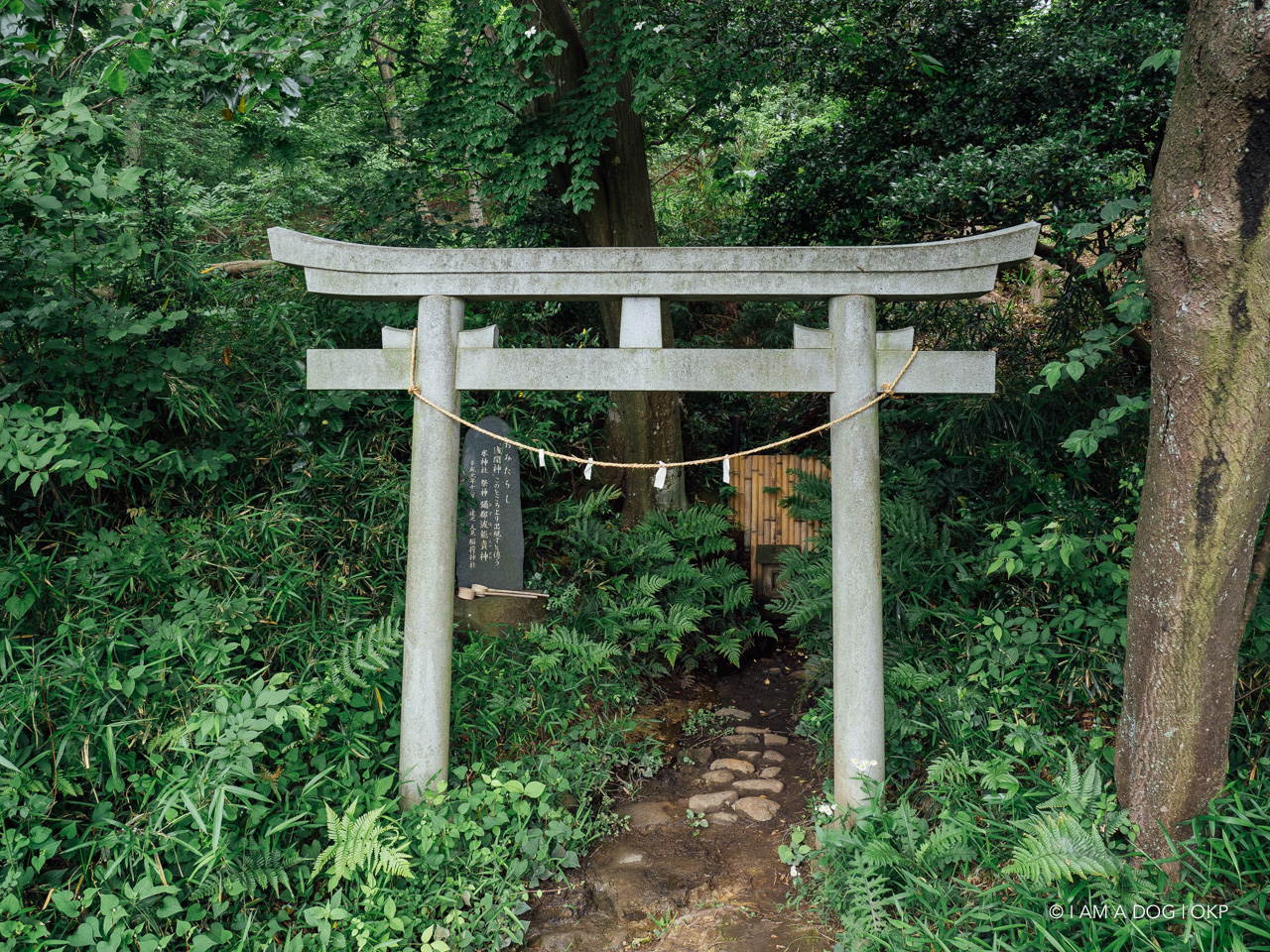 f:id:OKP:20200601164609j:plain
