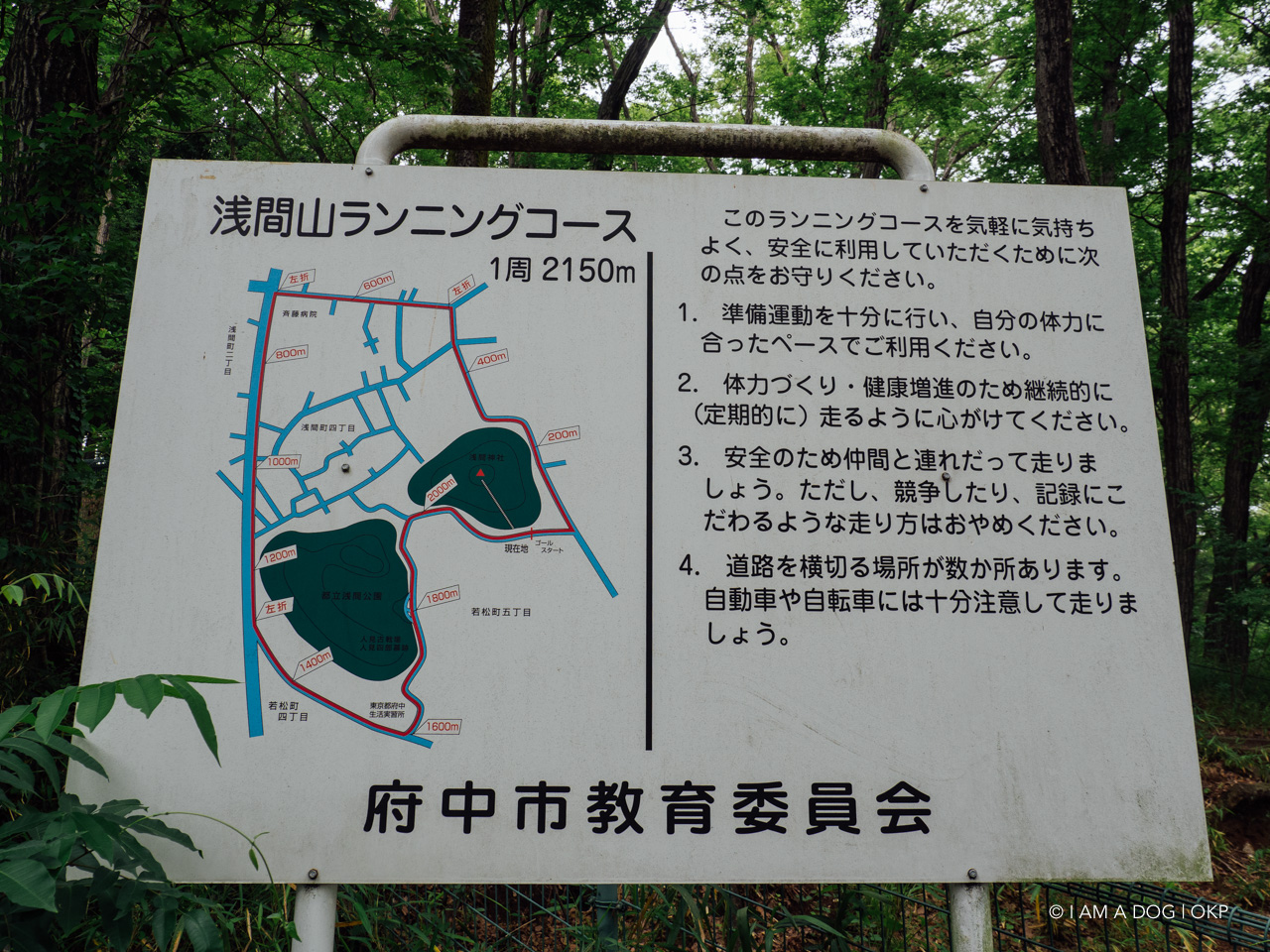 f:id:OKP:20200601164740j:plain