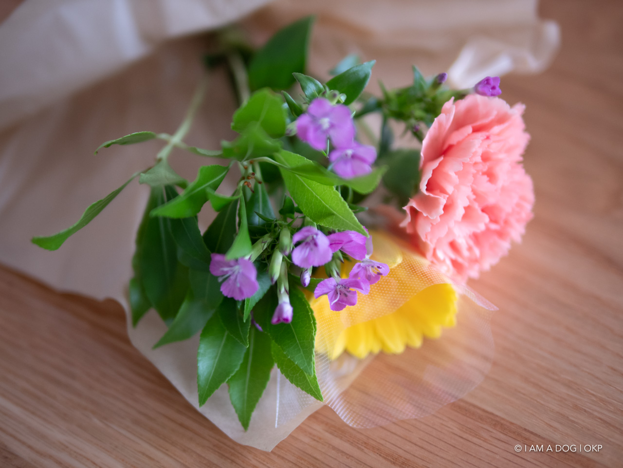 f:id:OKP:20200616174458j:plain