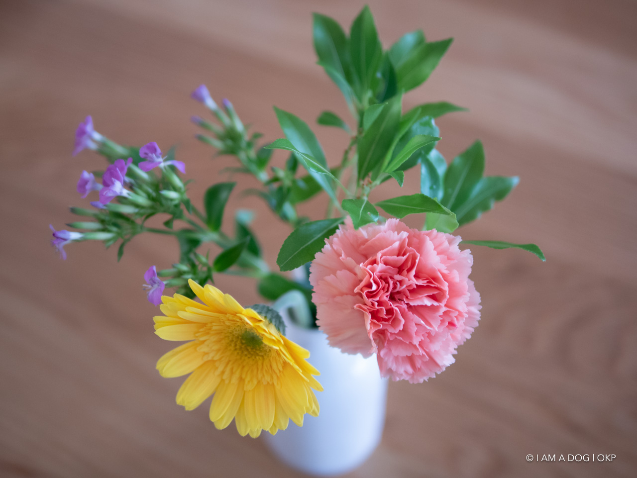 f:id:OKP:20200616174505j:plain