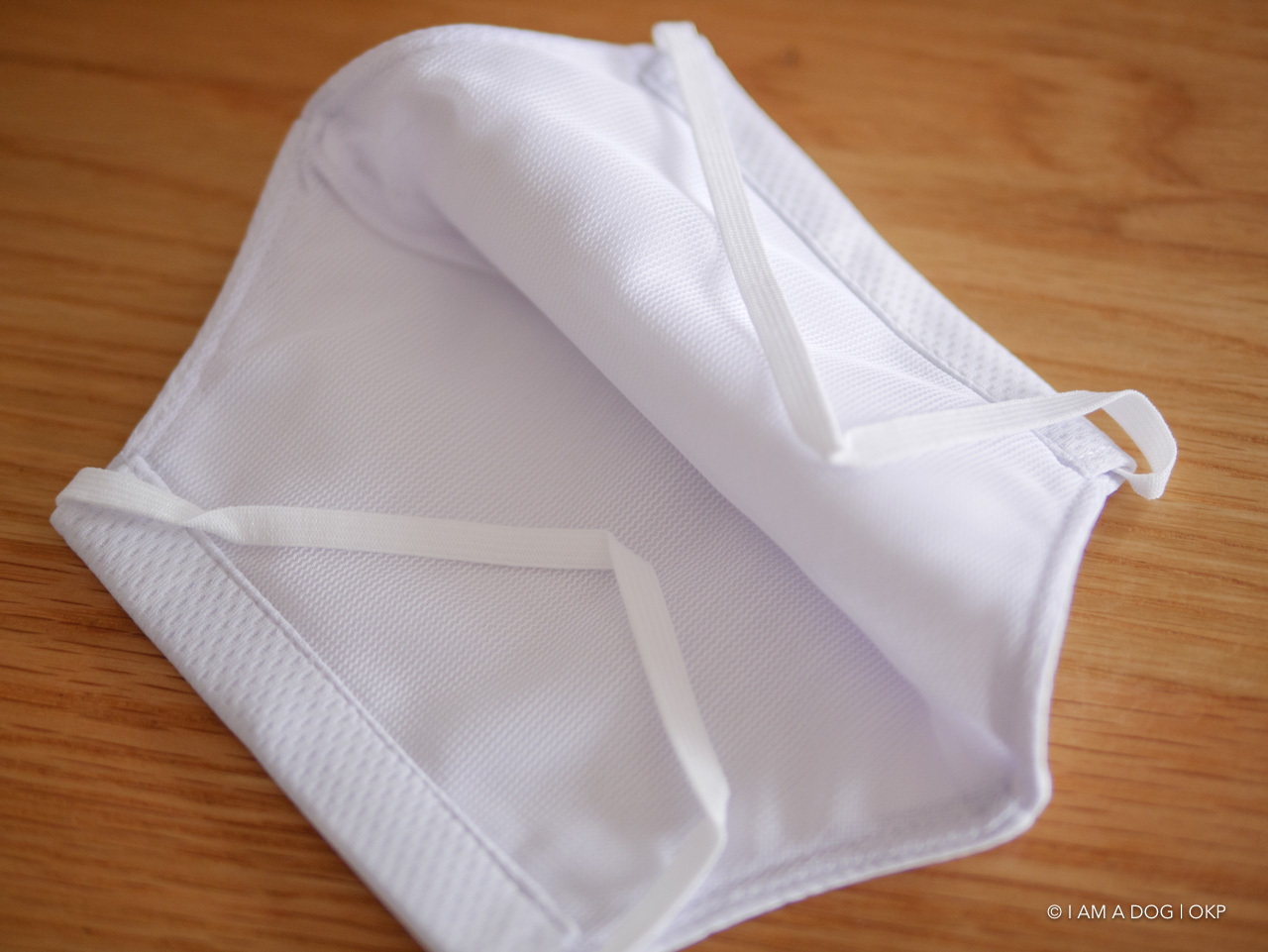 f:id:OKP:20200622190234j:plain