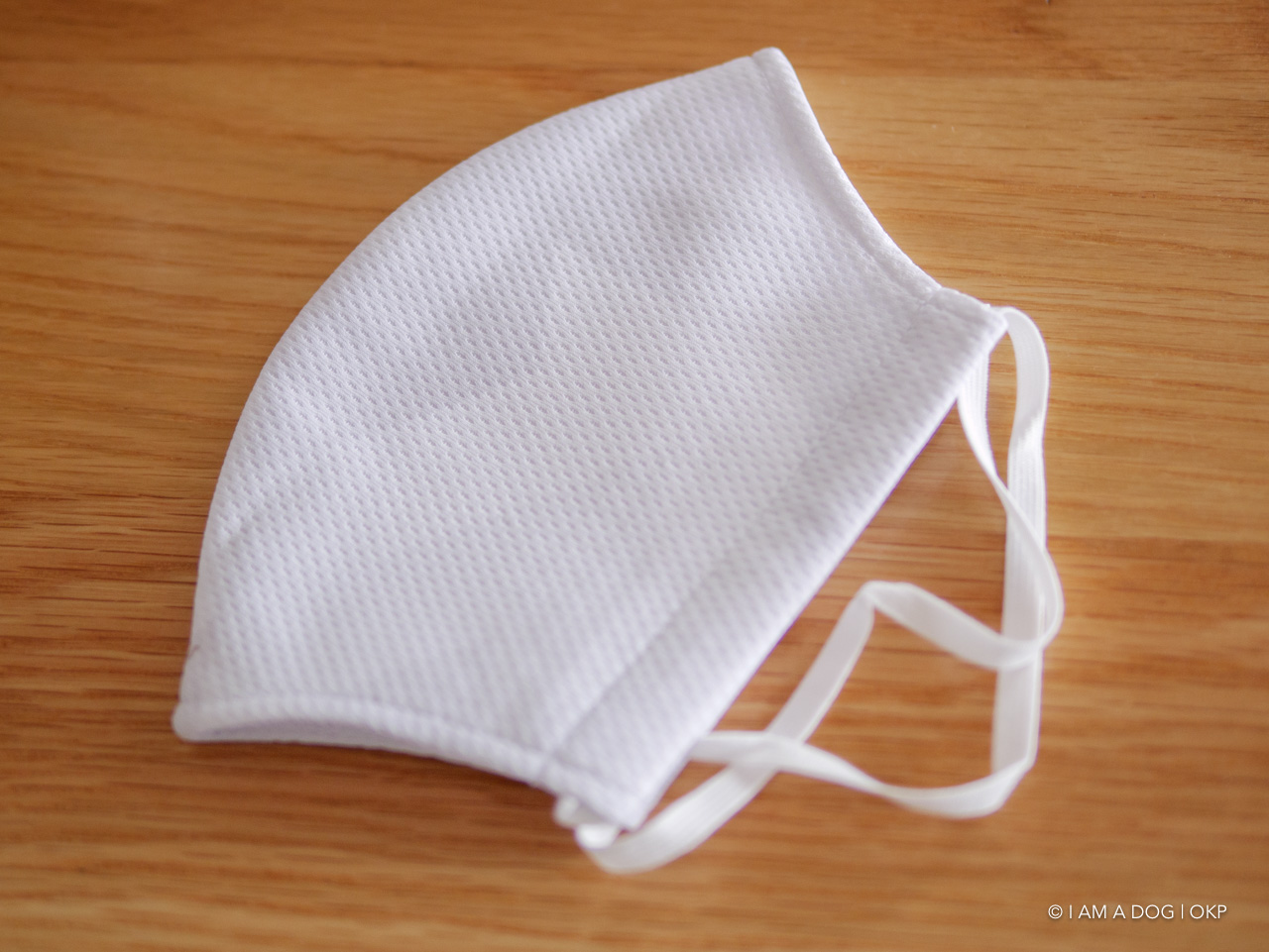 f:id:OKP:20200622190239j:plain