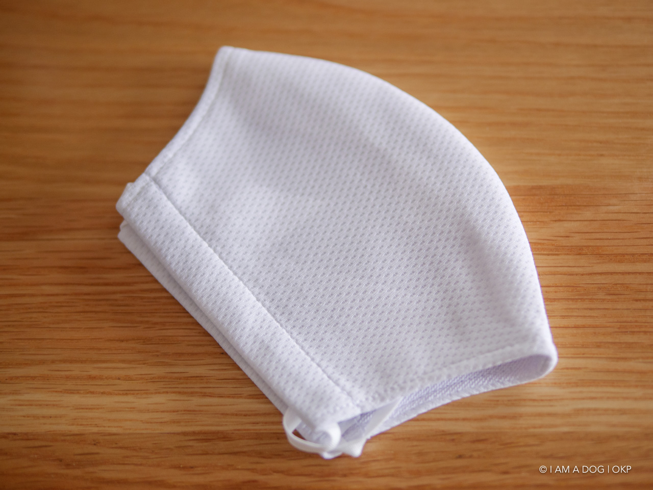 f:id:OKP:20200622190259j:plain