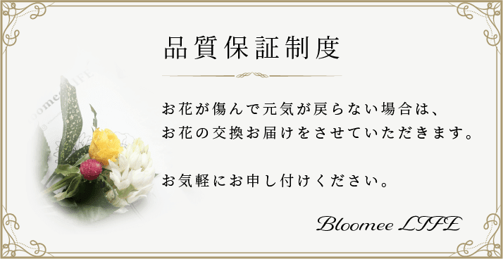 f:id:OKP:20200624155905p:plain