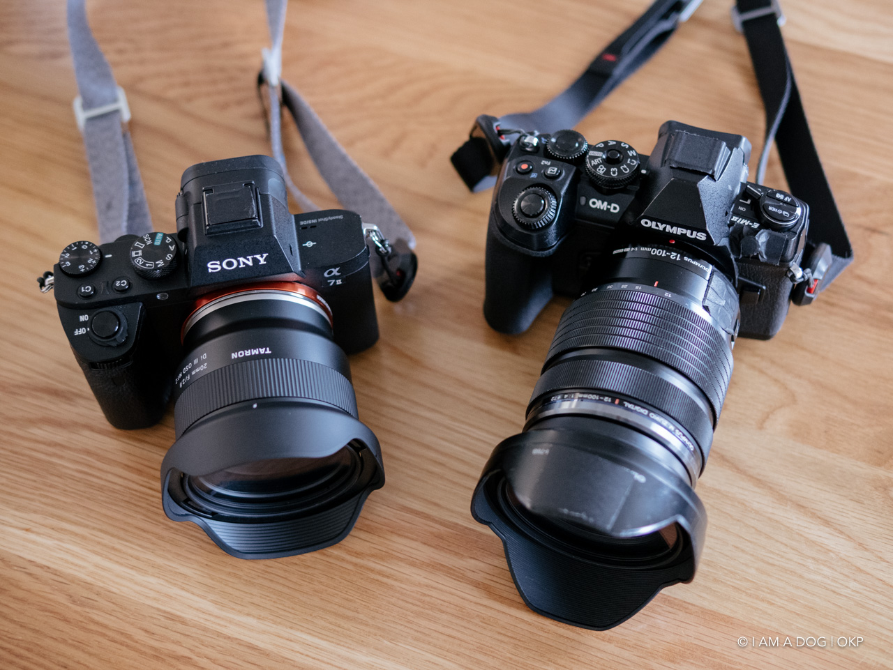 コスパ抜群! タムロンの寄れる広角単焦点レンズ 20mm F/2.8 Di コスパ抜群! タムロンの寄れる広角単焦点レンズ 20mm F/2.8 Di