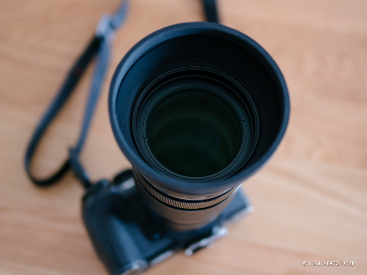 f:id:OKP:20200701164210j:plain