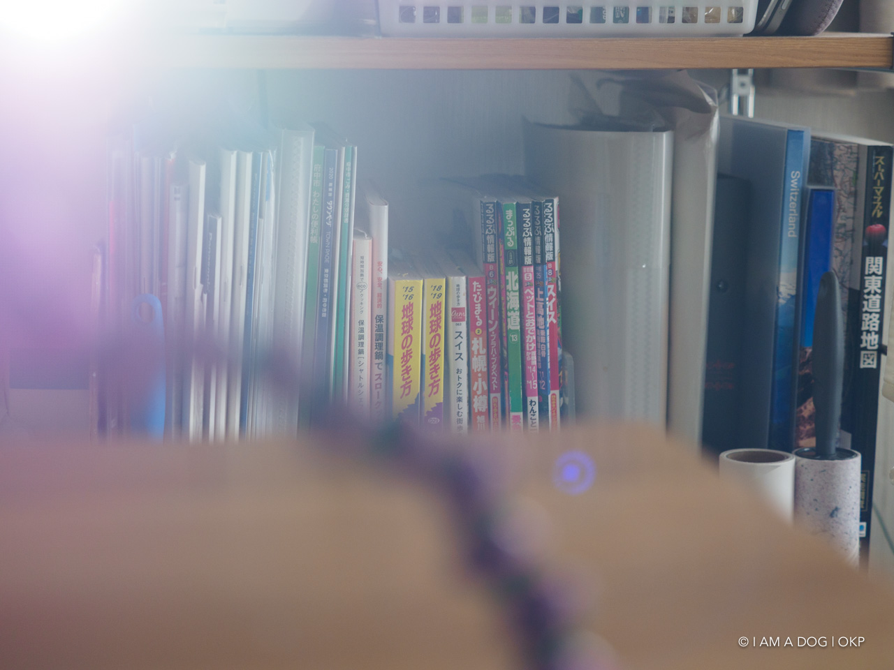 f:id:OKP:20200701164303j:plain