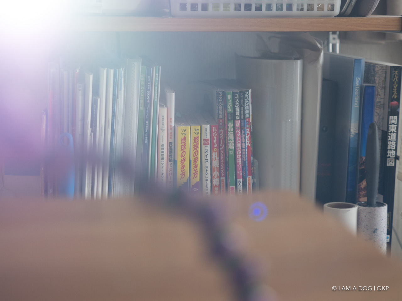 f:id:OKP:20200701164308j:plain