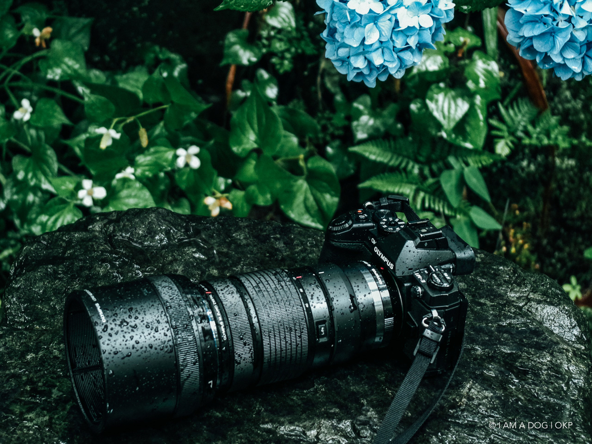 Olympus ズームレンズ F2.8 40-150mm フード付き オリンパス M.ZUIKO 40-150mm F2.8 PROのレンズフードが巨大