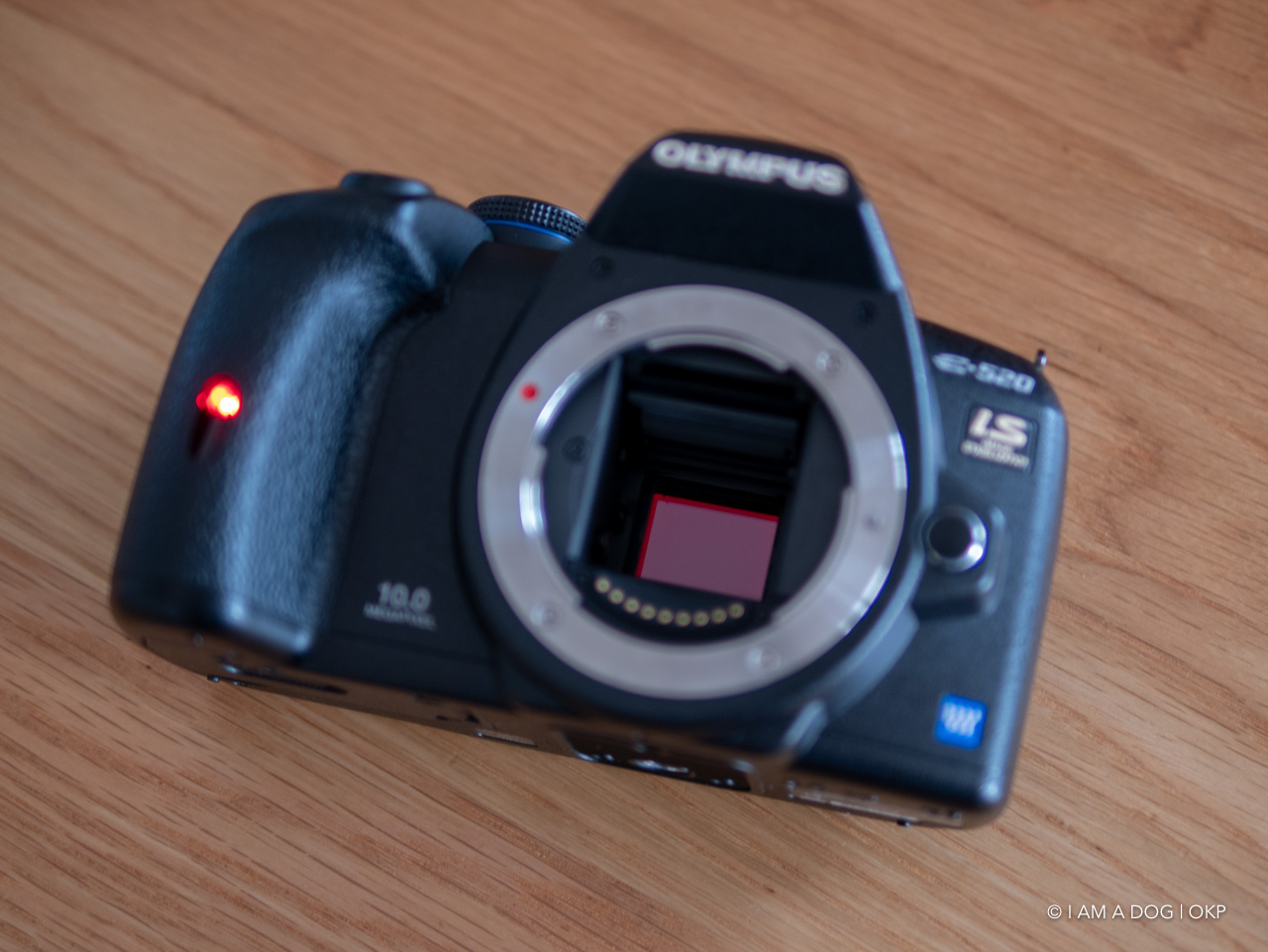 ❤️オリンパス E-520 一眼レフカメラ❤️ Amazon | OLYMPUS デジタル一眼レフカメラ E-520 ボディ E-520