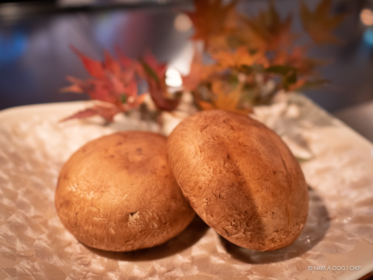 f:id:OKP:20201017230903j:plain