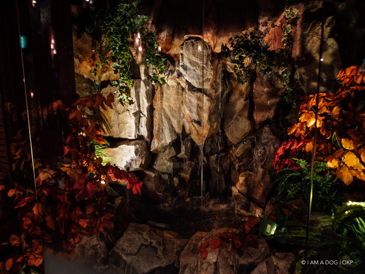 f:id:OKP:20201017231143j:plain