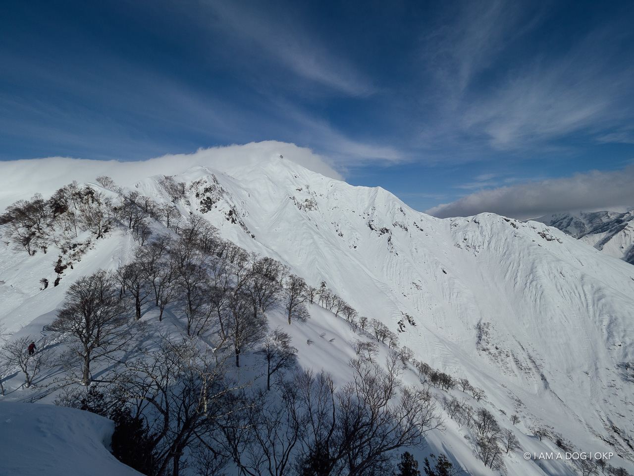 f:id:OKP:20201231101105j:plain