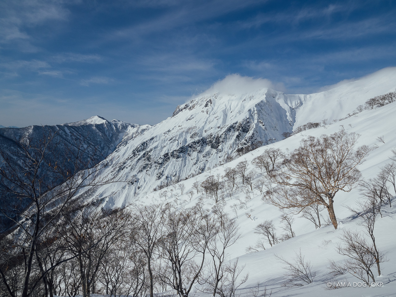 f:id:OKP:20201231101140j:plain