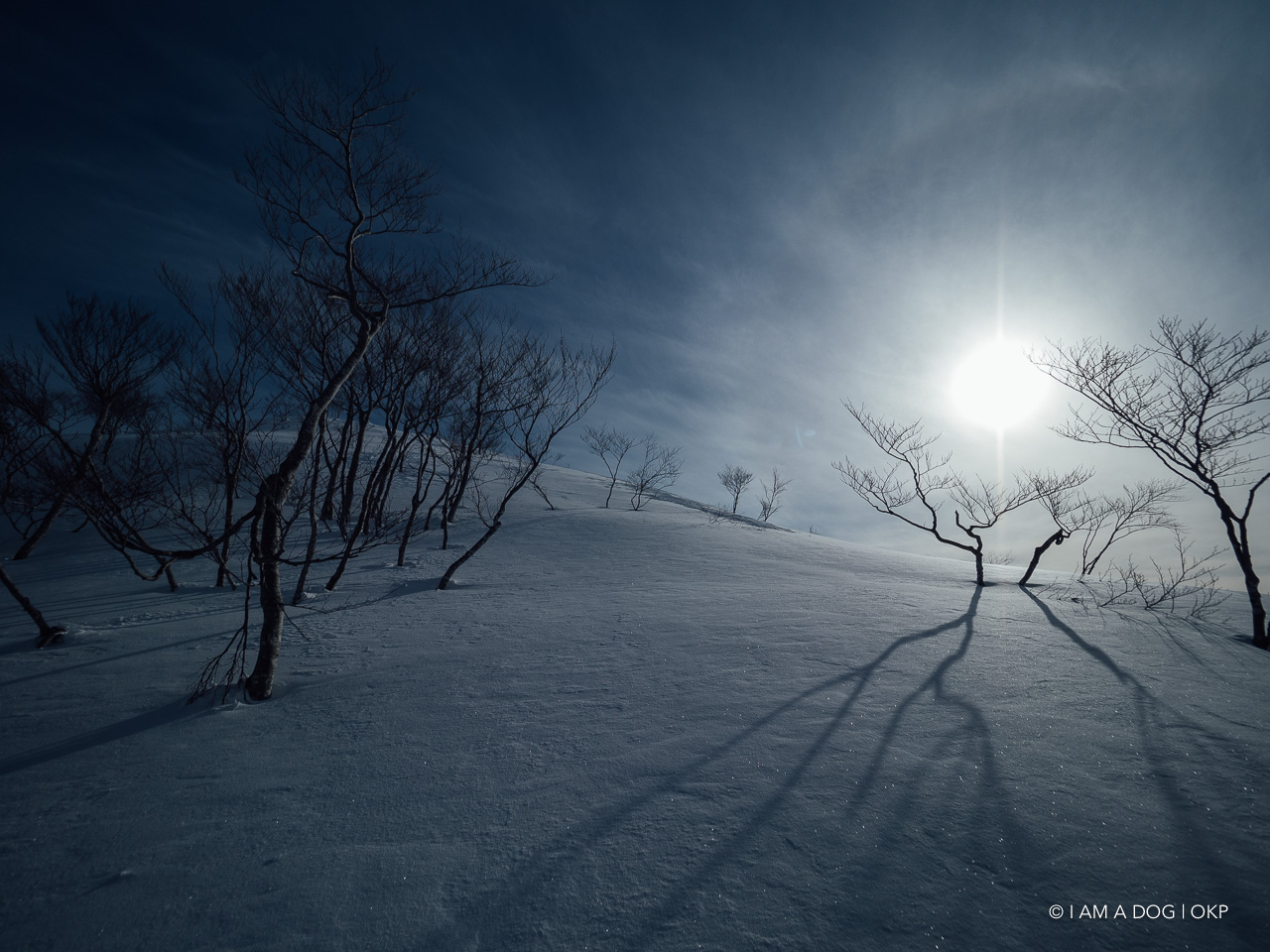 f:id:OKP:20201231101750j:plain