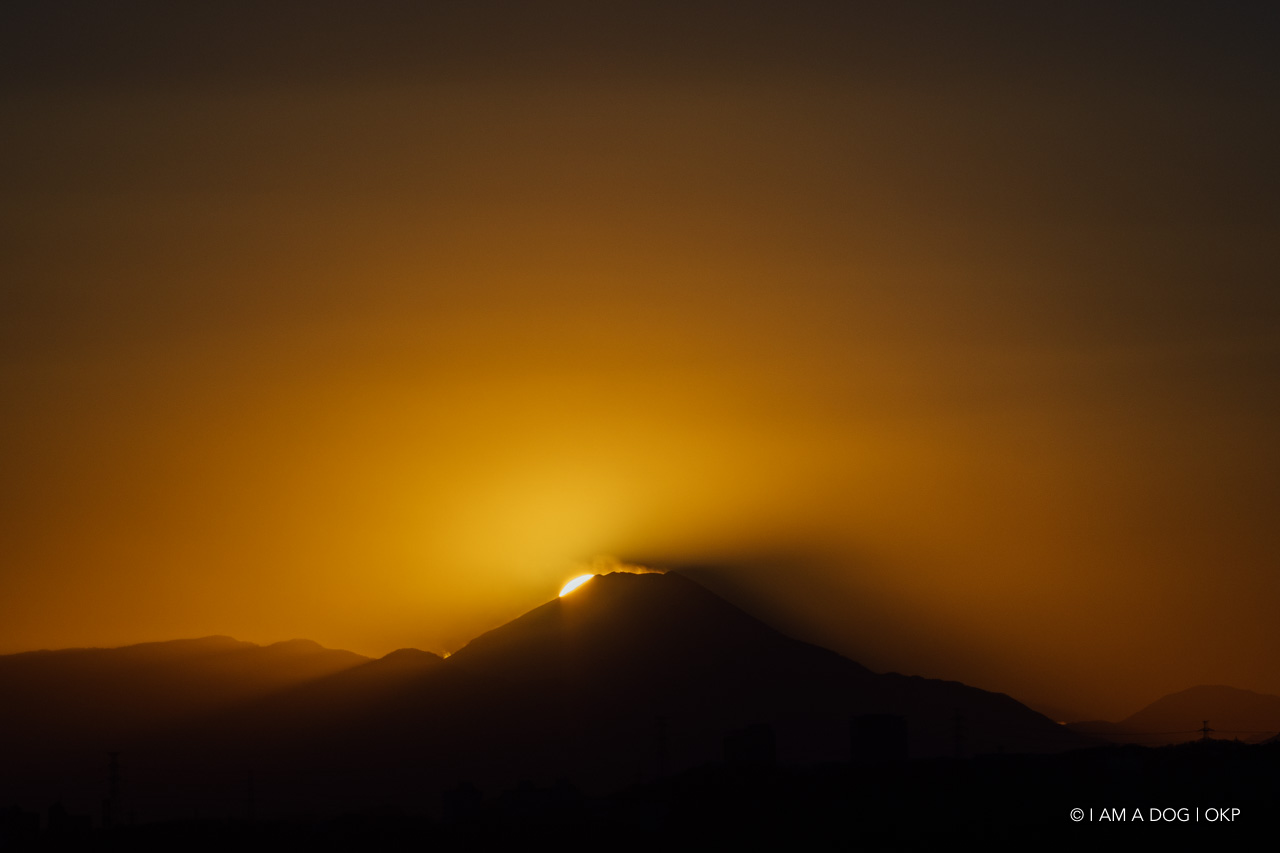 f:id:OKP:20210120225536j:plain