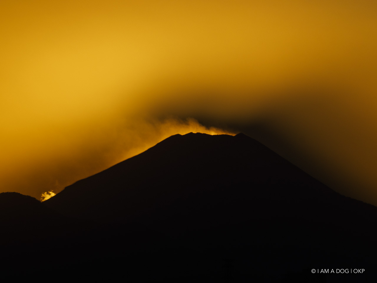 f:id:OKP:20210120225546j:plain