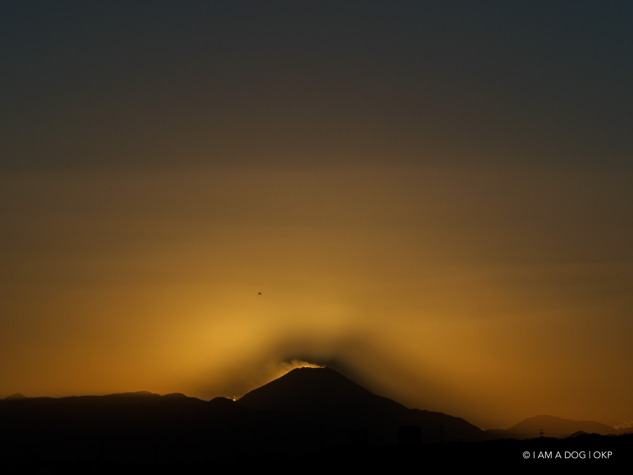 f:id:OKP:20210120225550j:plain