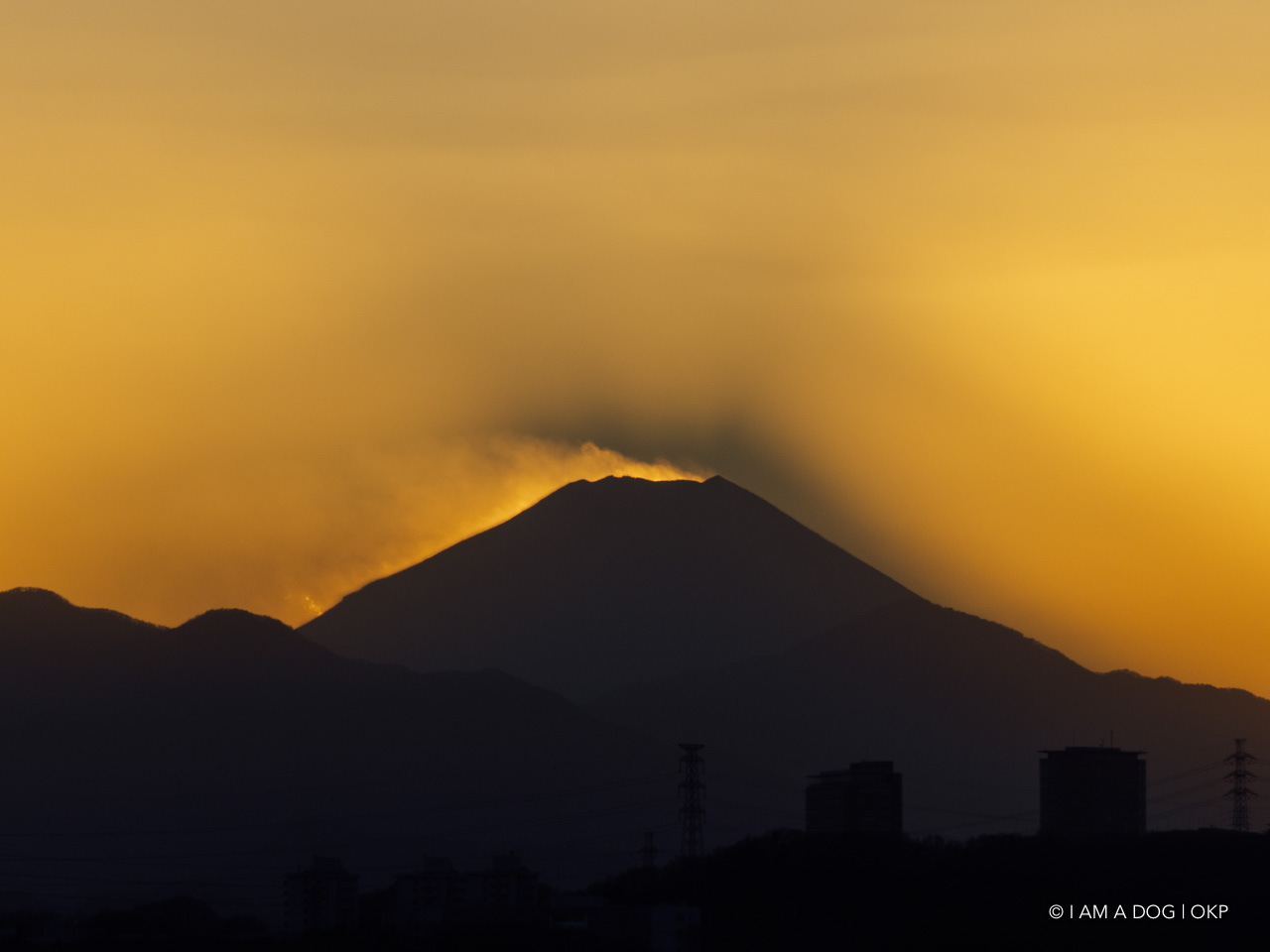 f:id:OKP:20210120225554j:plain