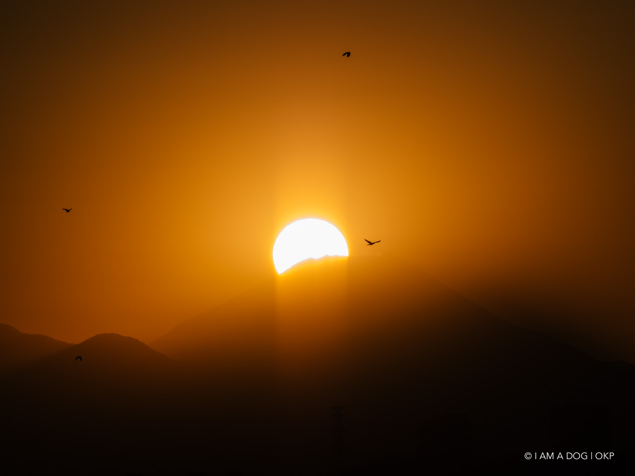 f:id:OKP:20210120225612j:plain