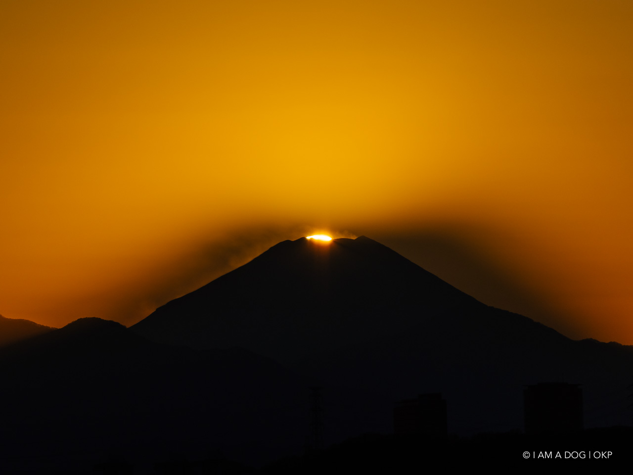 f:id:OKP:20210120225635j:plain