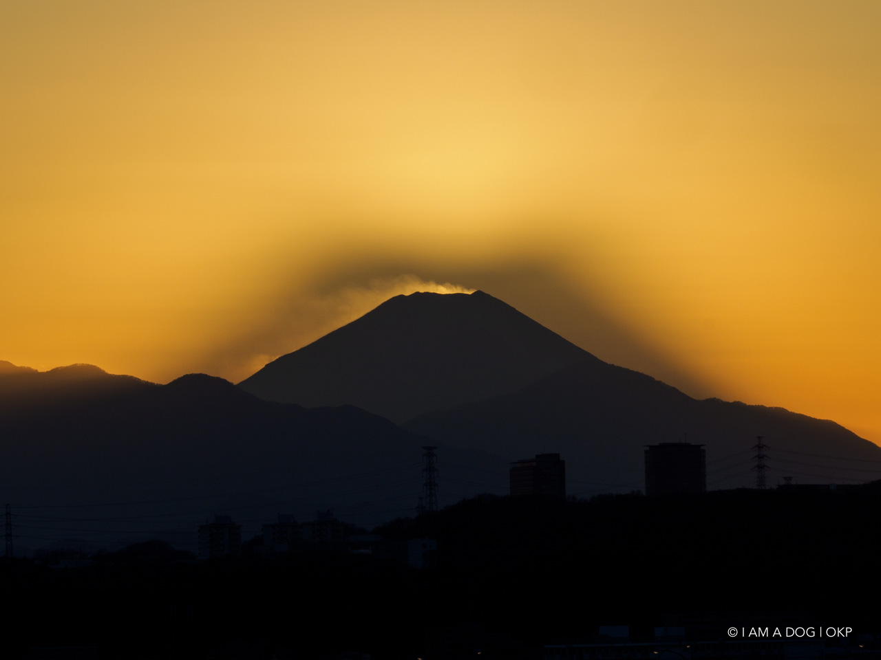 f:id:OKP:20210120225644j:plain