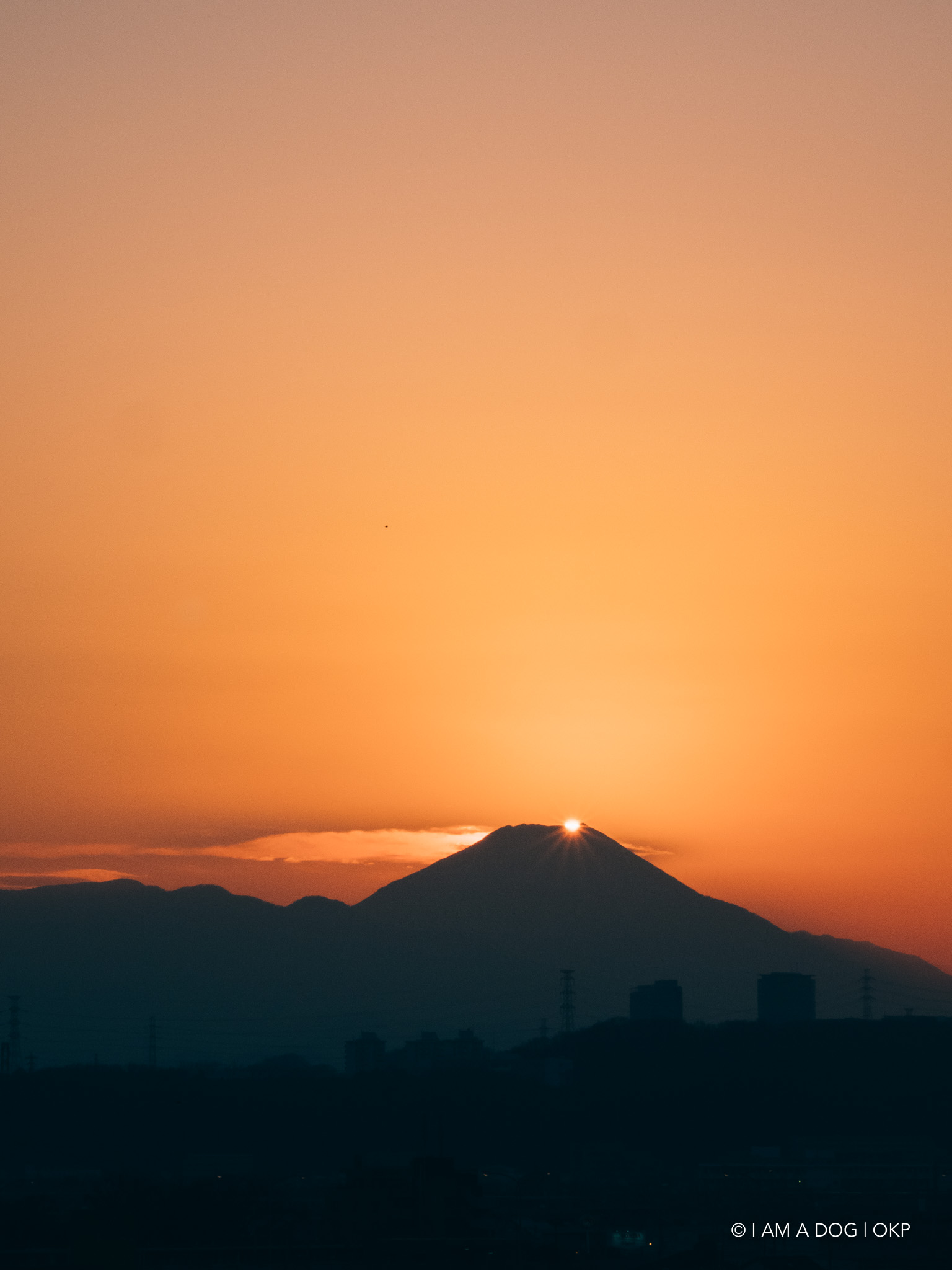 f:id:OKP:20210121183107j:plain