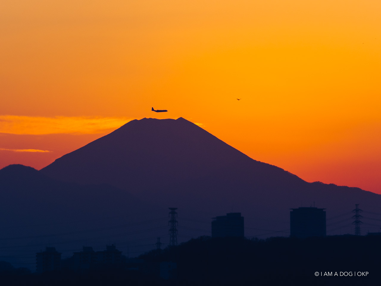 f:id:OKP:20210122011016j:plain