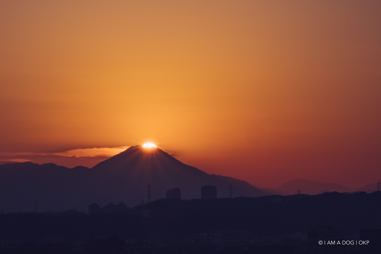 f:id:OKP:20210122011019j:plain