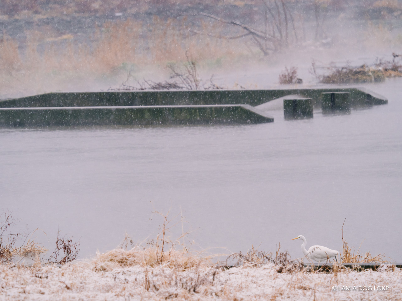 f:id:OKP:20210128225613j:plain