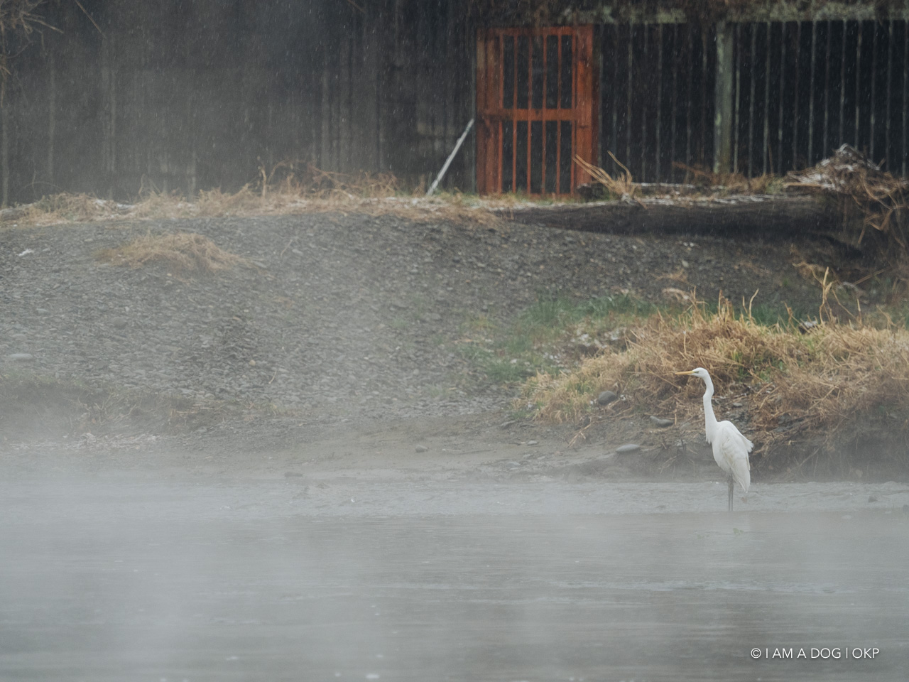 f:id:OKP:20210128225638j:plain