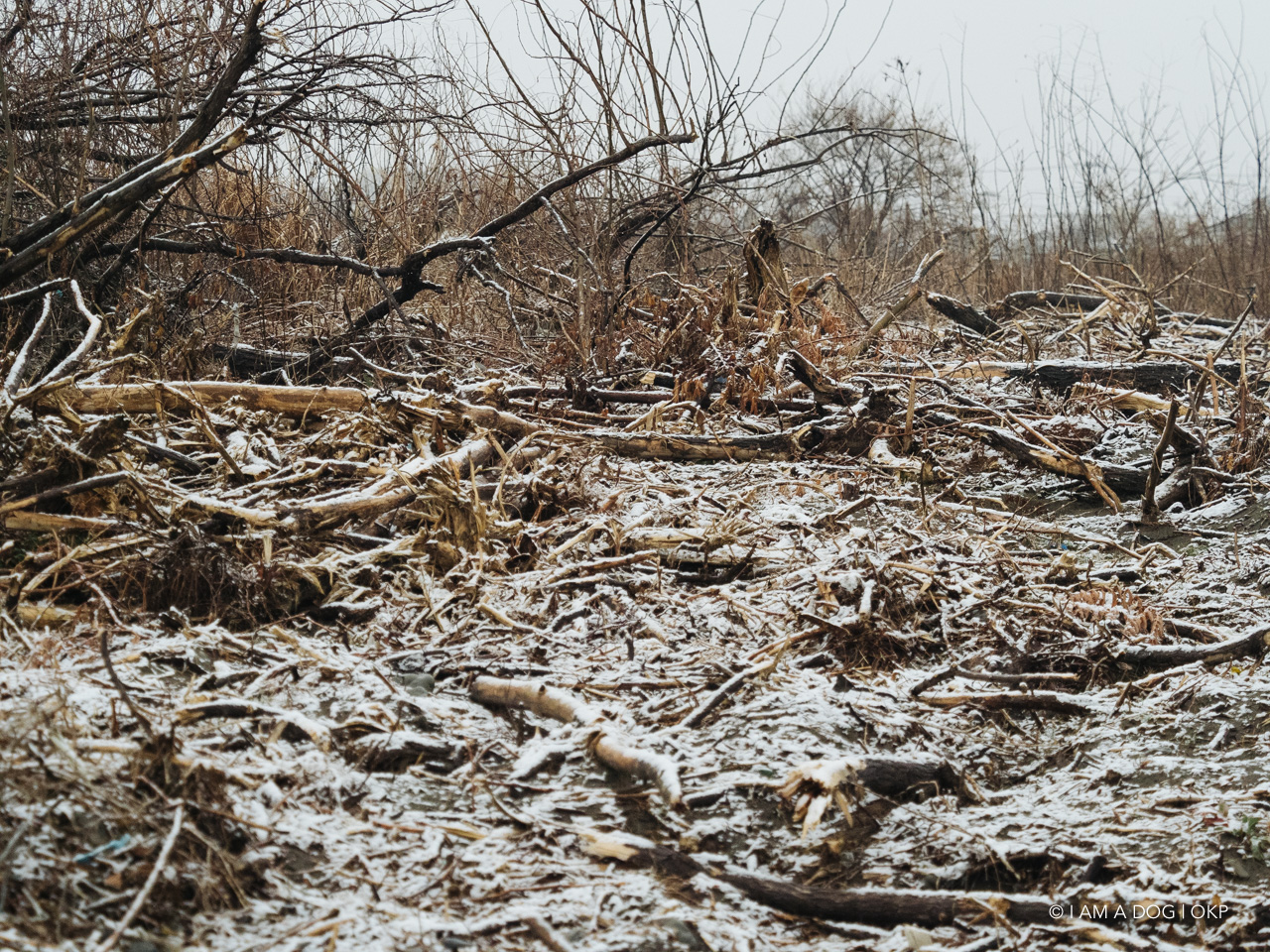 f:id:OKP:20210128225643j:plain