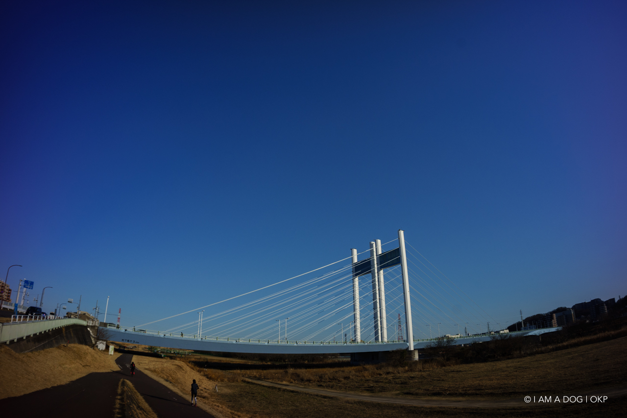 f:id:OKP:20210205171208j:plain