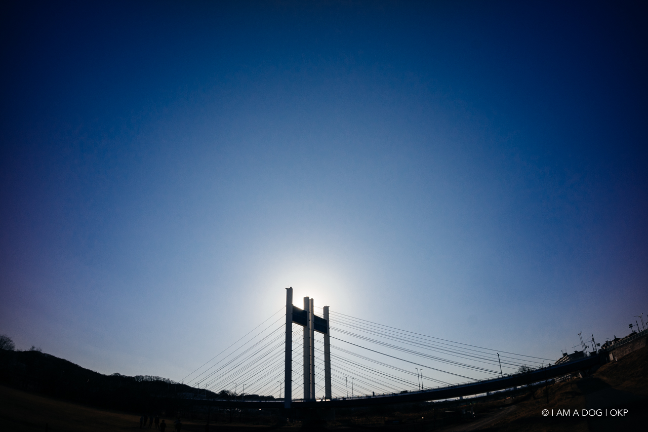 f:id:OKP:20210205171221j:plain