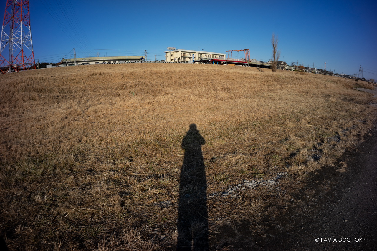 f:id:OKP:20210205171234j:plain