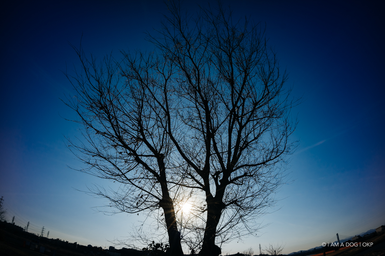 f:id:OKP:20210205171240j:plain