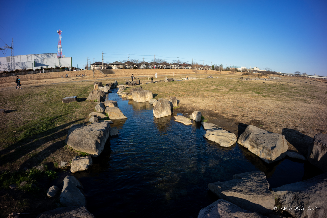 f:id:OKP:20210205171256j:plain