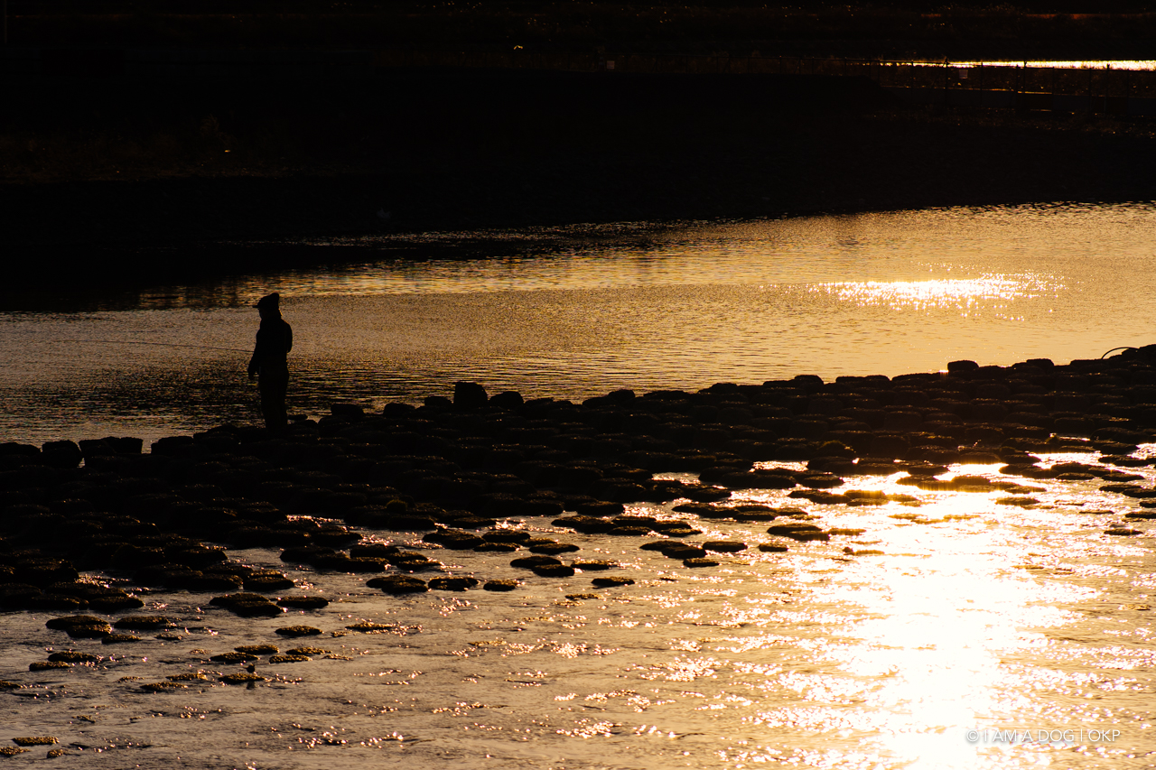 f:id:OKP:20210205171320j:plain