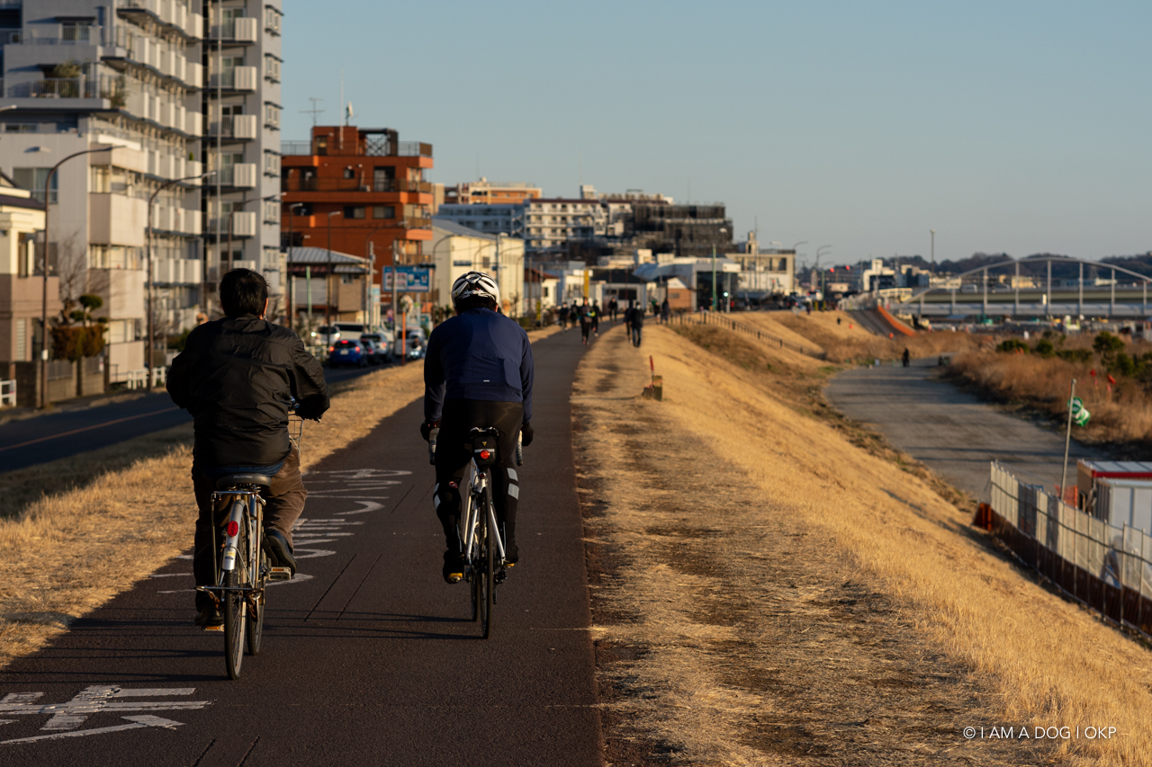 f:id:OKP:20210205171339j:plain