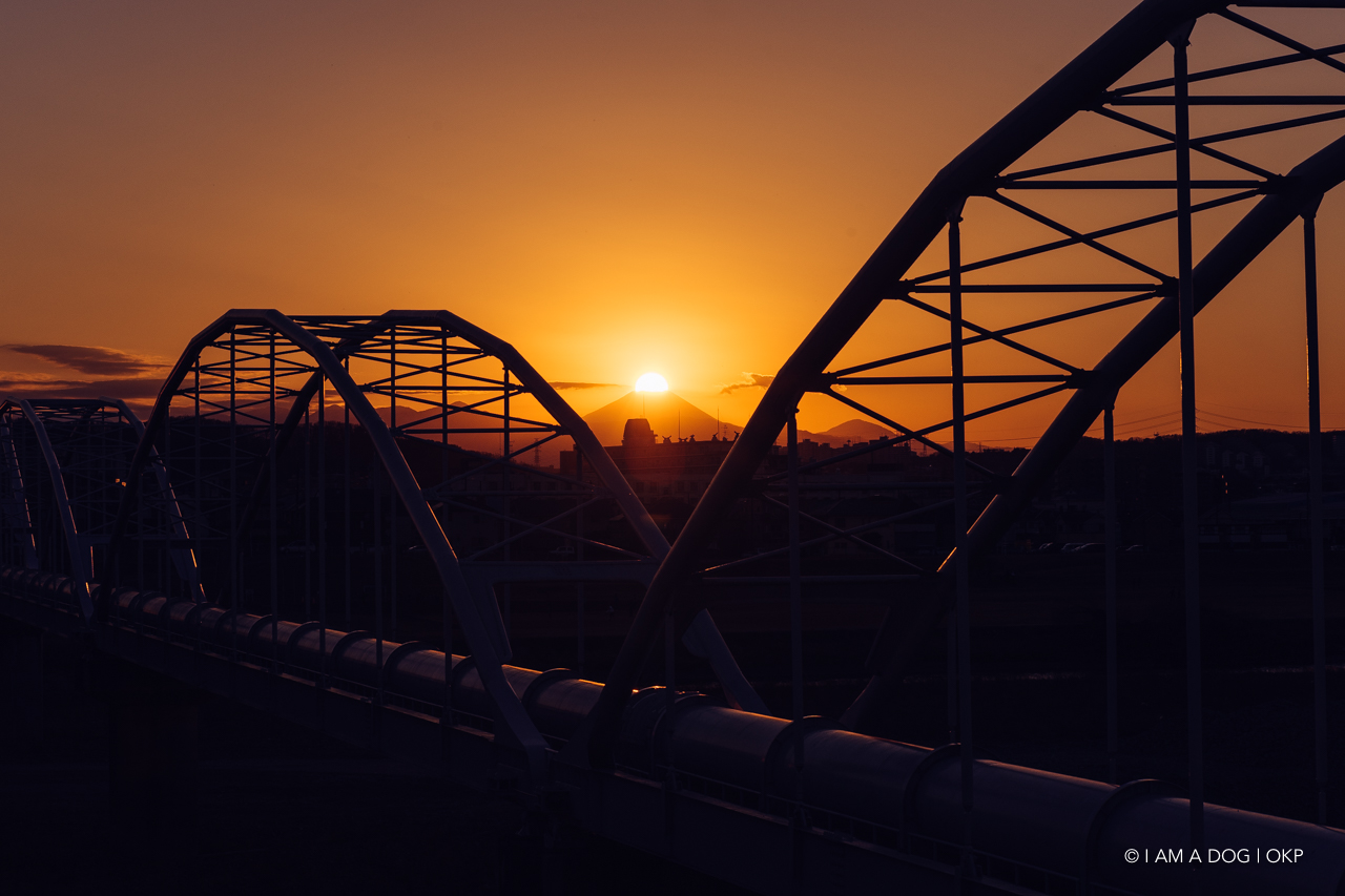 f:id:OKP:20210205171402j:plain