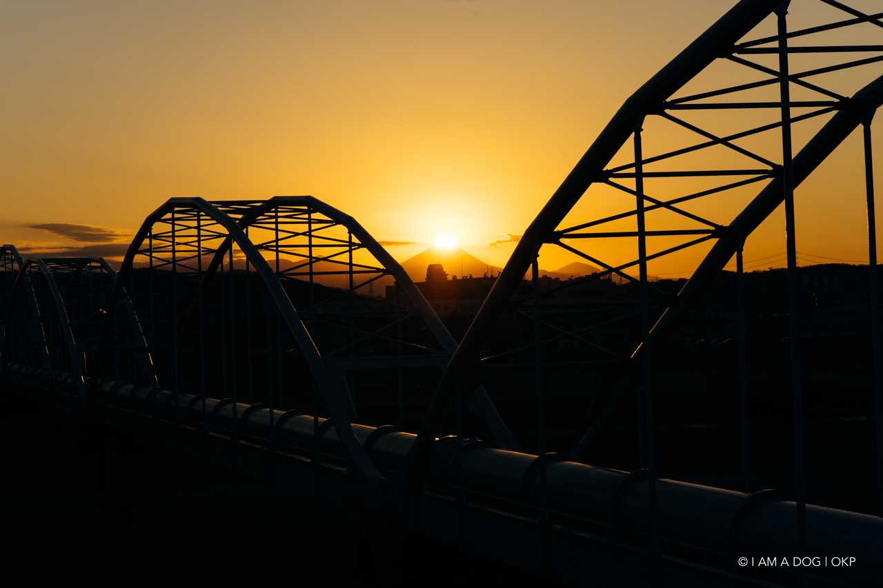 f:id:OKP:20210205171407j:plain