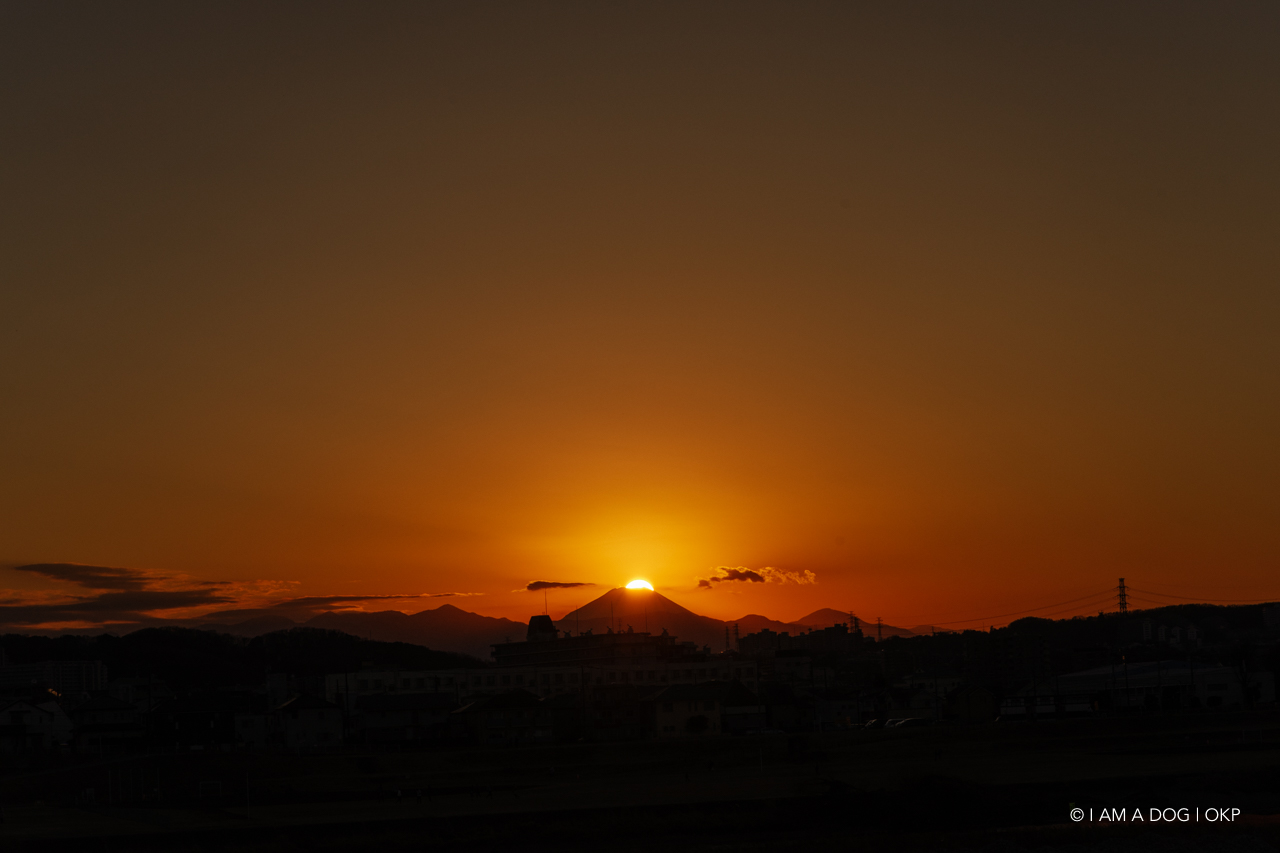 f:id:OKP:20210205171418j:plain