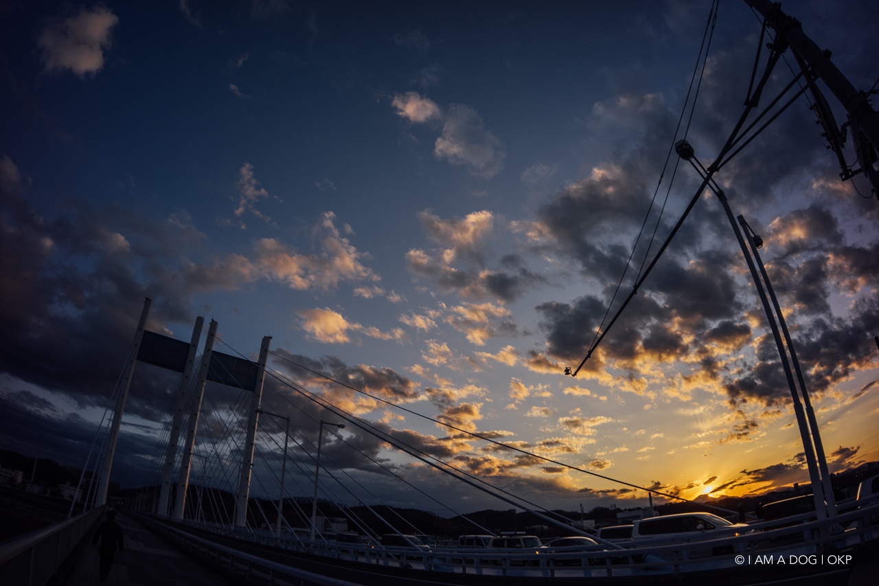 f:id:OKP:20210205172728j:plain