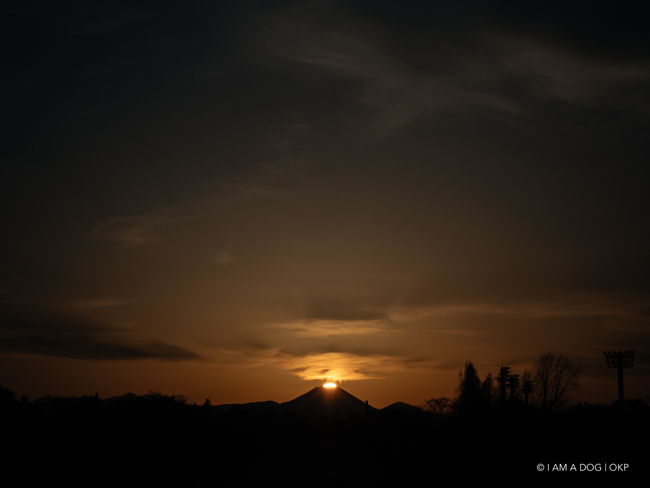 f:id:OKP:20210205172735j:plain