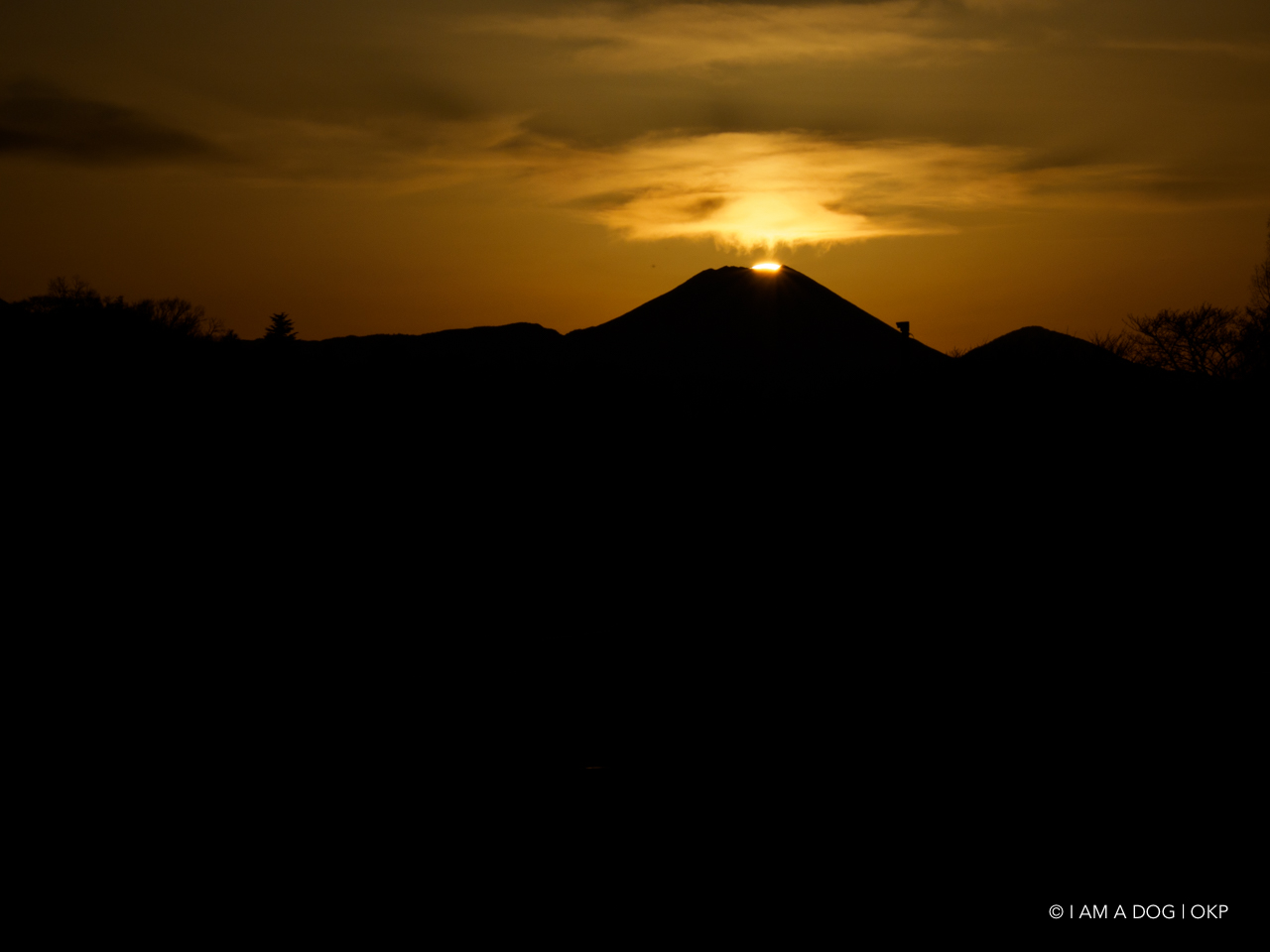 f:id:OKP:20210205172739j:plain