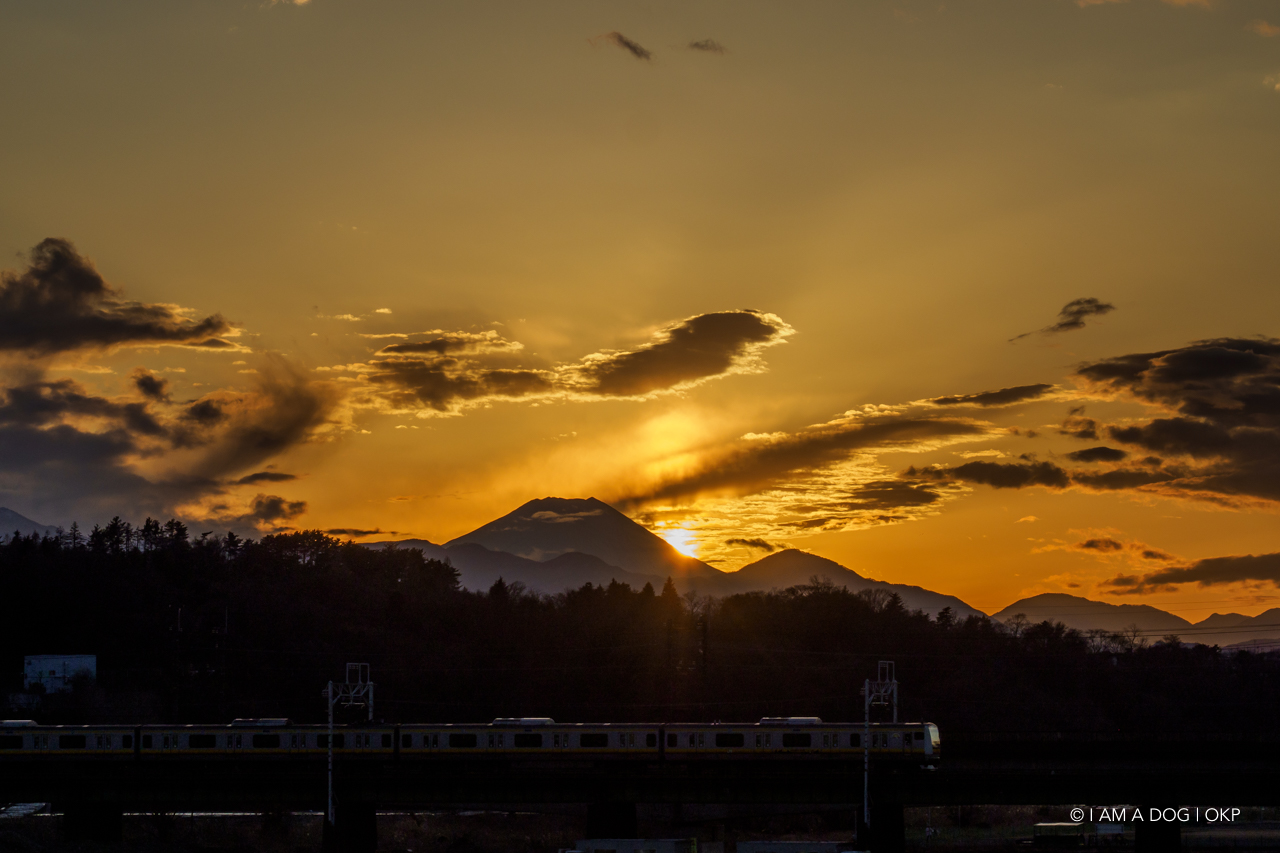 f:id:OKP:20210205172748j:plain