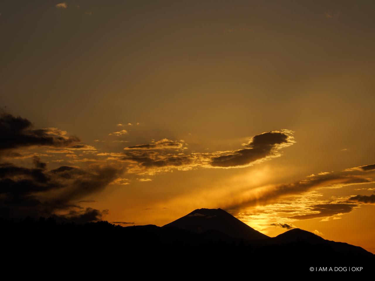 f:id:OKP:20210205172752j:plain