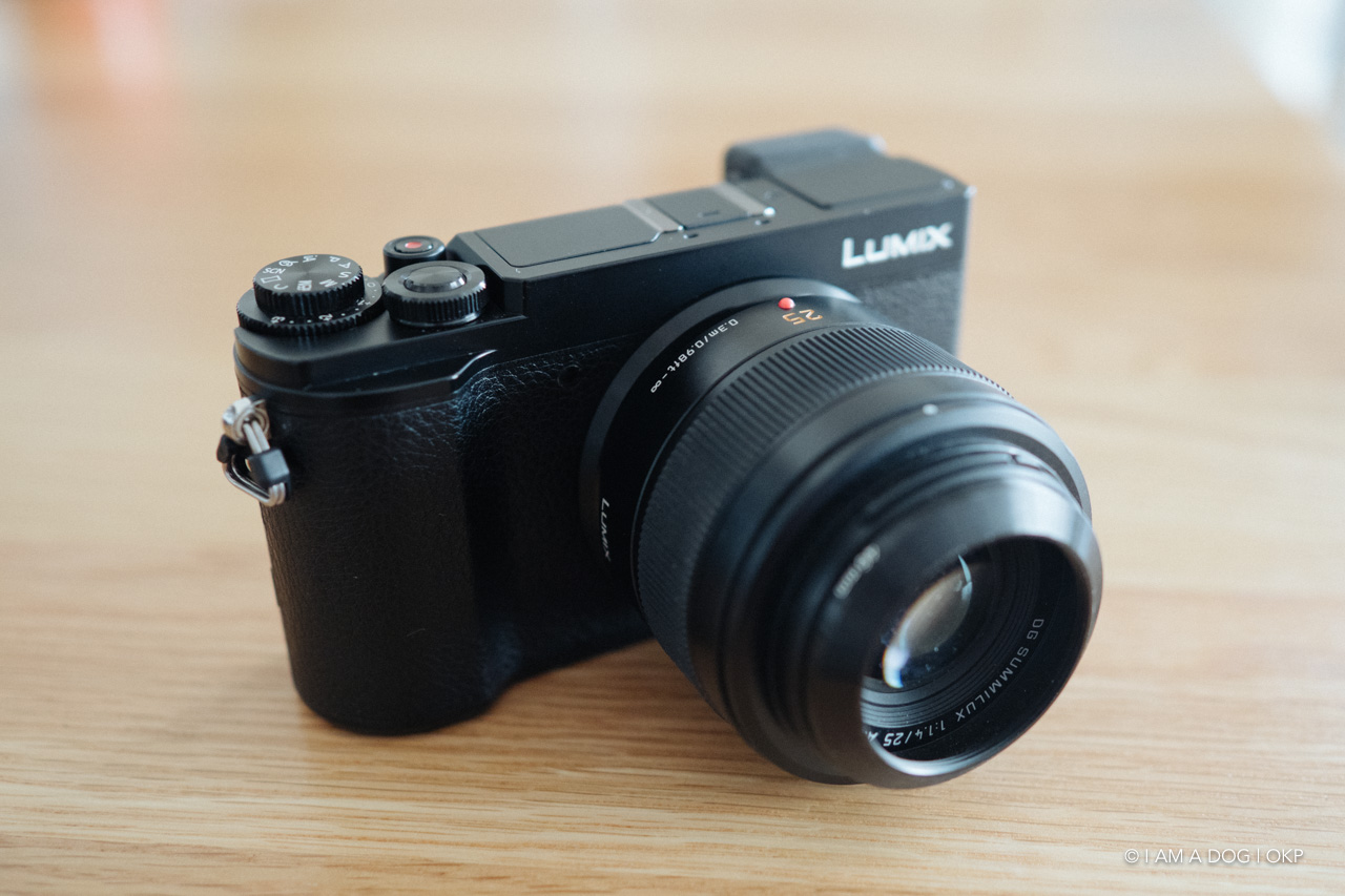 f:id:OKP:20210308012507j:plain