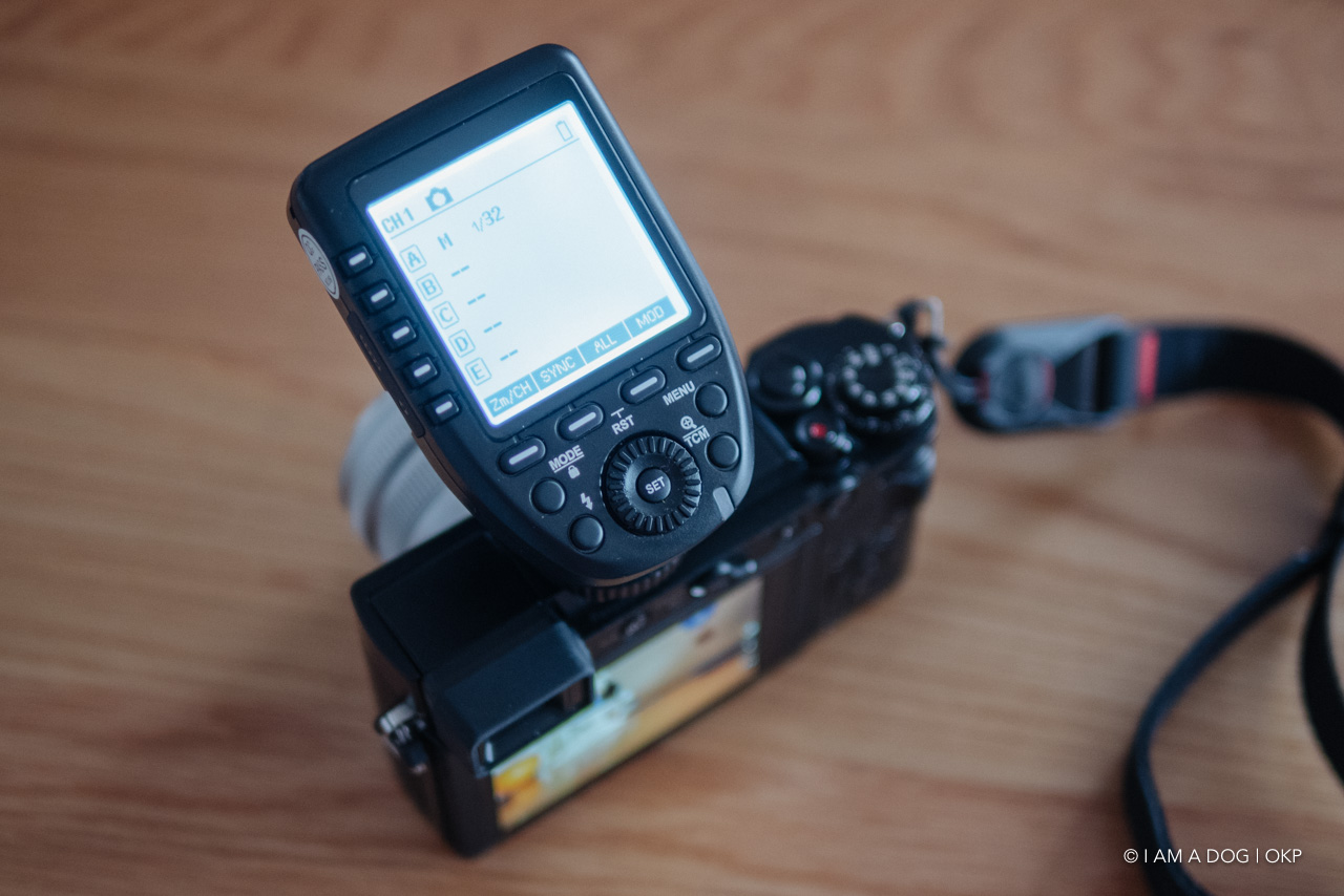 f:id:OKP:20210308112504j:plain